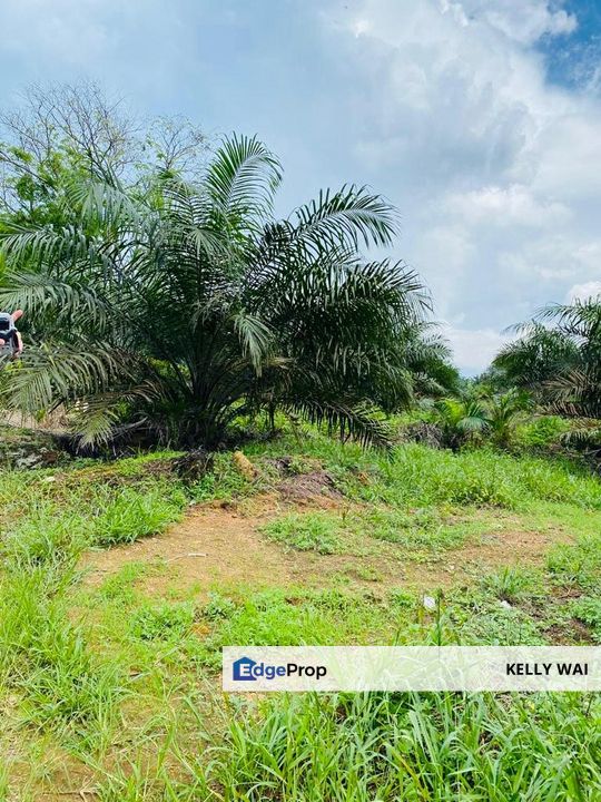 Roscote @ Senai, Kulai 9 Acres Agricultural Land For Sale , Johor, Senai