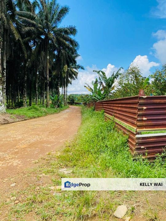 Roscote @ Senai, Kulai 9 Acres Agricultural Land For Sale , Johor, Senai