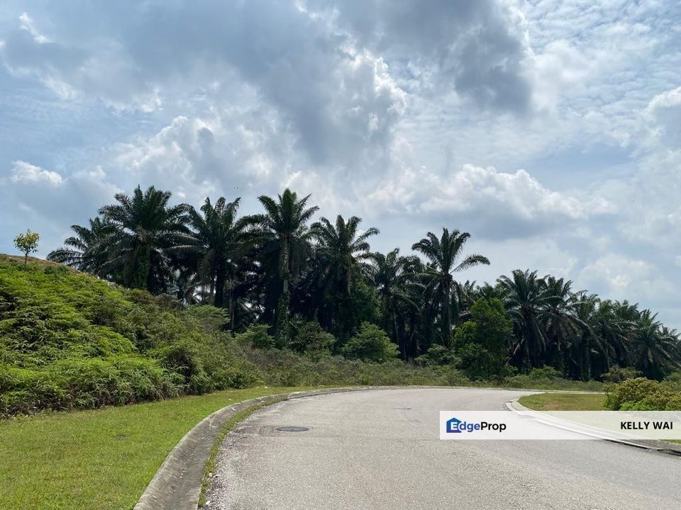 Seelong @ Senai 5 Acres Agricultural Land (Can convert to Industry Land) For Sale , Johor, Senai