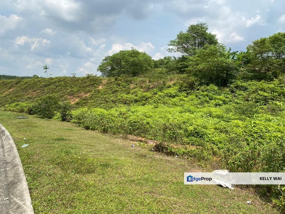 Seelong @ Senai 5 Acres Agricultural Land (Can convert to Industry Land) For Sale , Johor, Senai