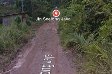 Kampung Seelong Jaya