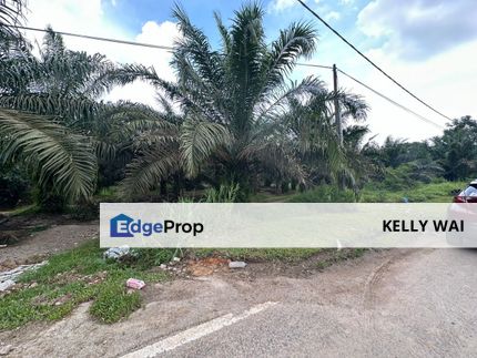 Seelong @ Senai 7.5 Acres Agricultural Land Zoning Industrial Land For Sale, Johor, Senai