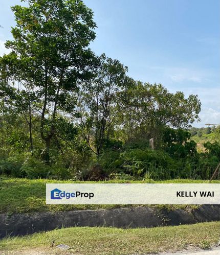 Seelong @ Senai 16 Acres Converted Medium Industrial Land For Sale , Johor, Senai