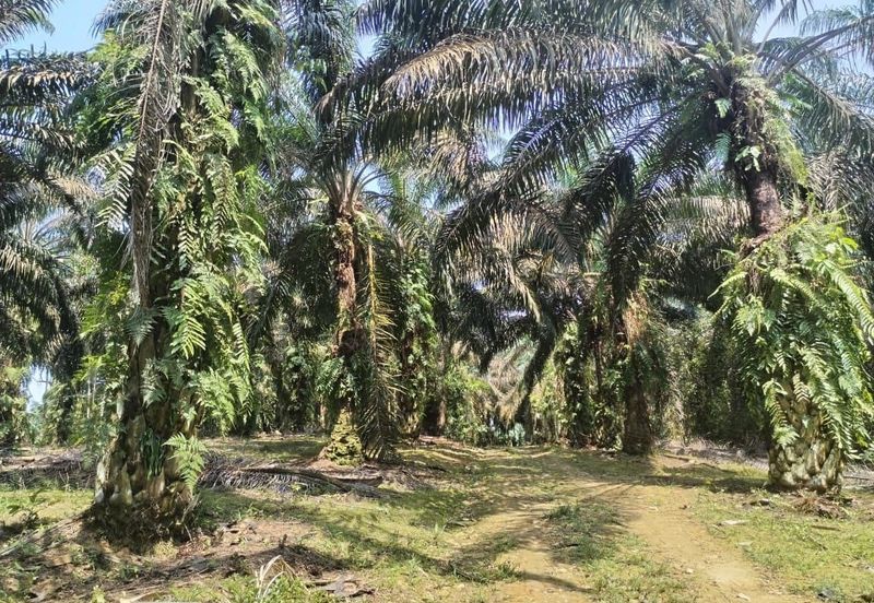 Kulai @ Johor 5.6 Acres Agricultural Land Zoning Industrial Land For Sale