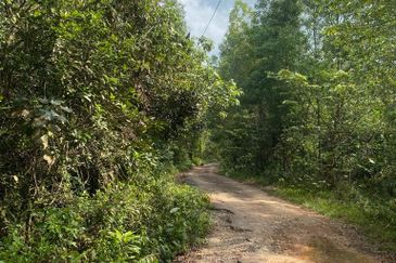 Tanjung Langsat @ Johor 120 Acres Agricultural Land Zoning Commercial Land For Sale 