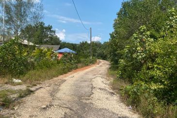 Tanjung Langsat @ Johor 120 Acres Agricultural Land Zoning Commercial Land For Sale 