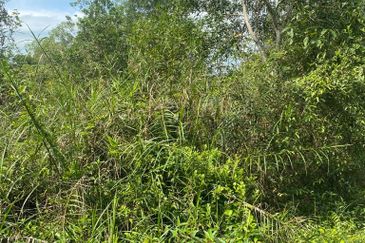 Tanjung Langsat @ Johor 120 Acres Agricultural Land Zoning Commercial Land For Sale 