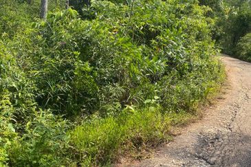 Tanjung Langsat @ Johor 120 Acres Agricultural Land Zoning Commercial Land For Sale 