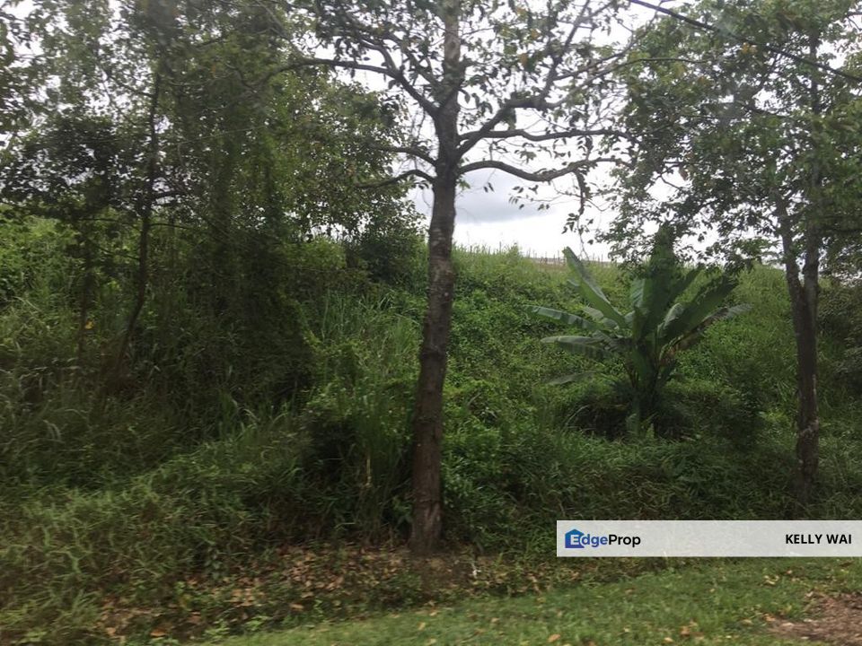 Sedenak @ Kulai 168 Acres Agricultural Land Zoning Light Industry Land For Sale , Johor, Kulai