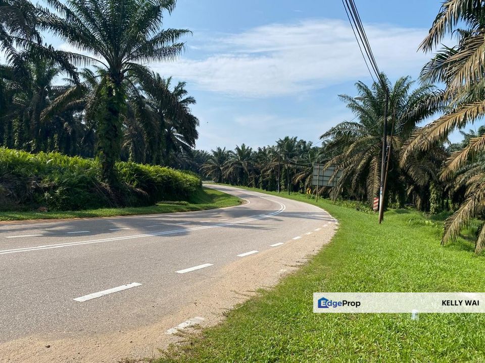 Sedenak @ Kulai 158 Acres Agricultural Land (Can convert to Residential Land or Industrial Land) For Sale , Johor, Kulai
