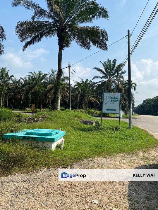 Sedenak @ Kulai 158 Acres Agricultural Land (Can convert to Residential Land or Industrial Land) For Sale , Johor, Kulai