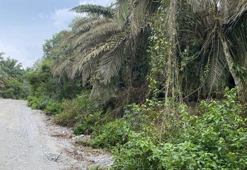 Kulai @ Johor 19.6 Acres Agricultural Land (Can convert to Industrial Land) For Sale 