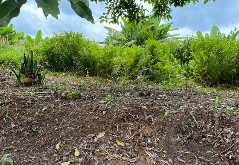 Kulai @ Johor 19.6 Acres Agricultural Land (Can convert to Industrial Land) For Sale 