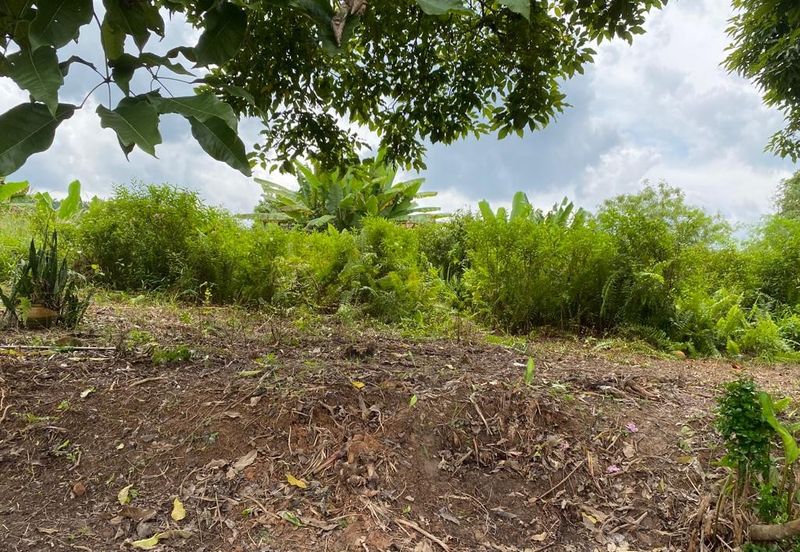 Kulai @ Johor 19.6 Acres Agricultural Land (Can convert to Industrial Land) For Sale 