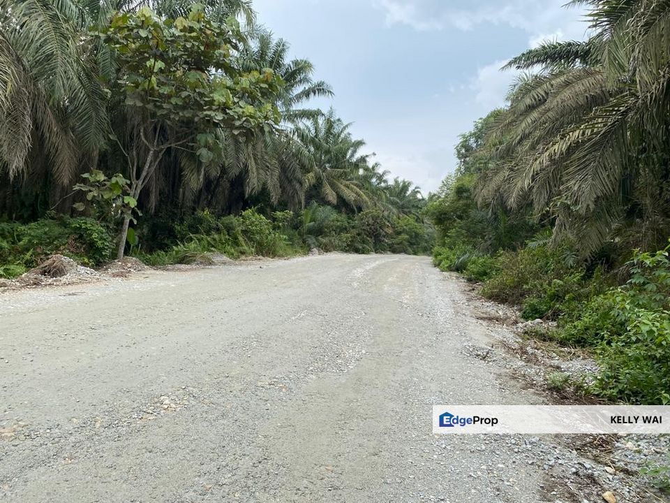 Kulai @ Johor 19.6 Acres Agricultural Land (Can convert to Industrial Land) For Sale , Johor, Kulai