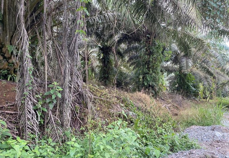 Kulai @ Johor 19.6 Acres Agricultural Land (Can convert to Industrial Land) For Sale 