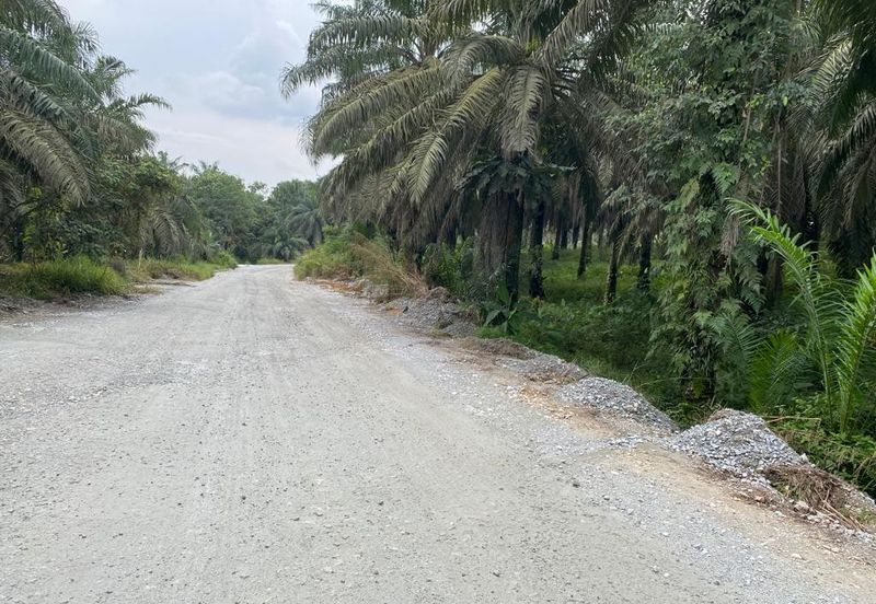 Kulai @ Johor 19.6 Acres Agricultural Land (Can convert to Industrial Land) For Sale 