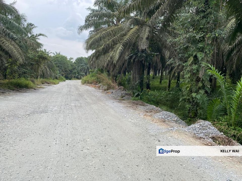 Kulai @ Johor 19.6 Acres Agricultural Land (Can convert to Industrial Land) For Sale , Johor, Kulai