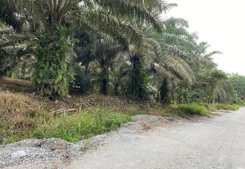 Kulai @ Johor 19.6 Acres Agricultural Land (Can convert to Industrial Land) For Sale 