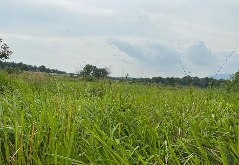 Kulai @ Johor 10 Acres++ Agricultural Land (Can convert to Residential Land) For Sale 