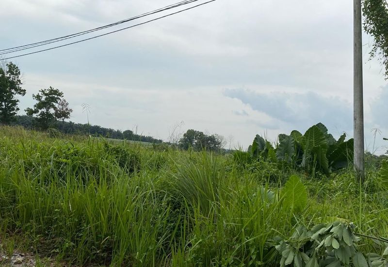 Kulai @ Johor 10 Acres++ Agricultural Land (Can convert to Residential Land) For Sale 