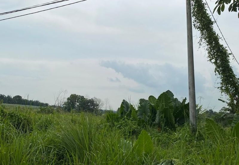 Kulai @ Johor 10 Acres++ Agricultural Land (Can convert to Residential Land) For Sale 