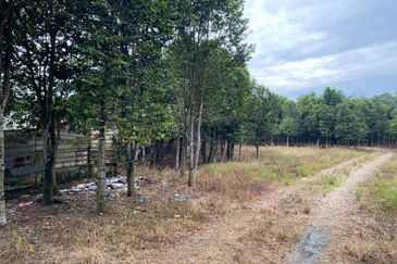 Ulu Tiram @ Johor 10 Acres++ Agricultural Land Zoning Industrial Land For Sale 