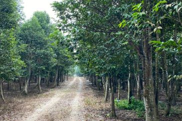 Ulu Tiram @ Johor 10 Acres++ Agricultural Land Zoning Industrial Land For Sale 