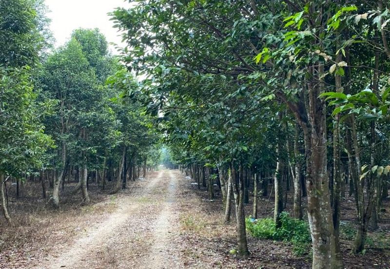 Ulu Tiram @ Johor 10 Acres++ Agricultural Land Zoning Industrial Land For Sale 