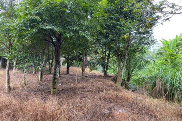 Ulu Tiram @ Johor 10 Acres++ Agricultural Land Zoning Industrial Land For Sale 