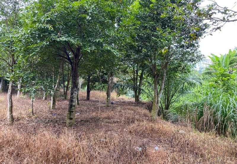 Ulu Tiram @ Johor 10 Acres++ Agricultural Land Zoning Industrial Land For Sale 