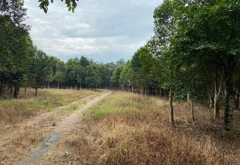 Ulu Tiram @ Johor 10 Acres++ Agricultural Land Zoning Industrial Land For Sale 