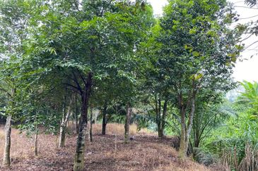 Ulu Tiram @ Johor 10 Acres++ Agricultural Land Zoning Industrial Land For Sale 