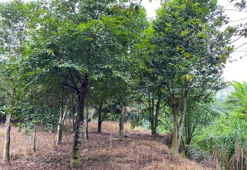 Ulu Tiram @ Johor 10 Acres++ Agricultural Land Zoning Industrial Land For Sale 