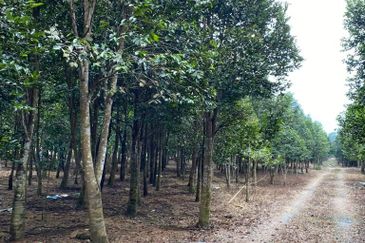 Ulu Tiram @ Johor 10 Acres++ Agricultural Land Zoning Industrial Land For Sale 