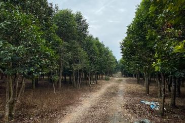 Ulu Tiram @ Johor 10 Acres++ Agricultural Land Zoning Industrial Land For Sale 