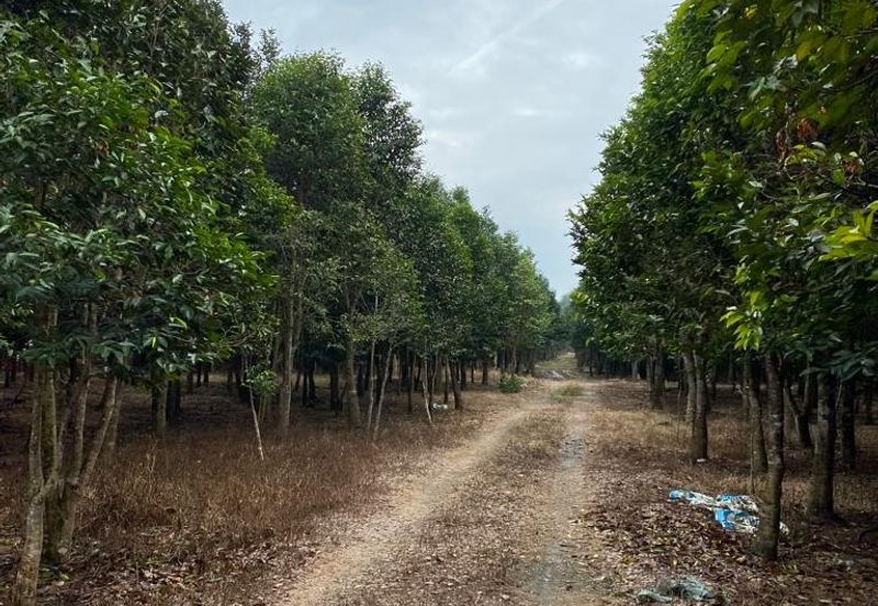 Ulu Tiram @ Johor 10 Acres++ Agricultural Land Zoning Industrial Land For Sale 