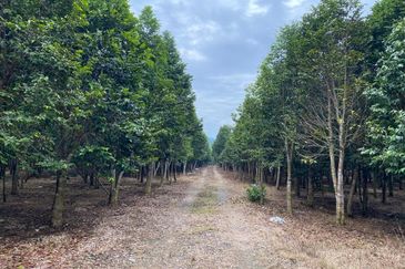 Ulu Tiram @ Johor 10 Acres++ Agricultural Land Zoning Industrial Land For Sale 