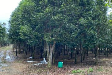 Ulu Tiram @ Johor 10 Acres++ Agricultural Land Zoning Industrial Land For Sale 