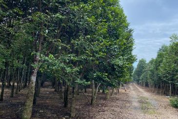 Ulu Tiram @ Johor 10 Acres++ Agricultural Land Zoning Industrial Land For Sale 