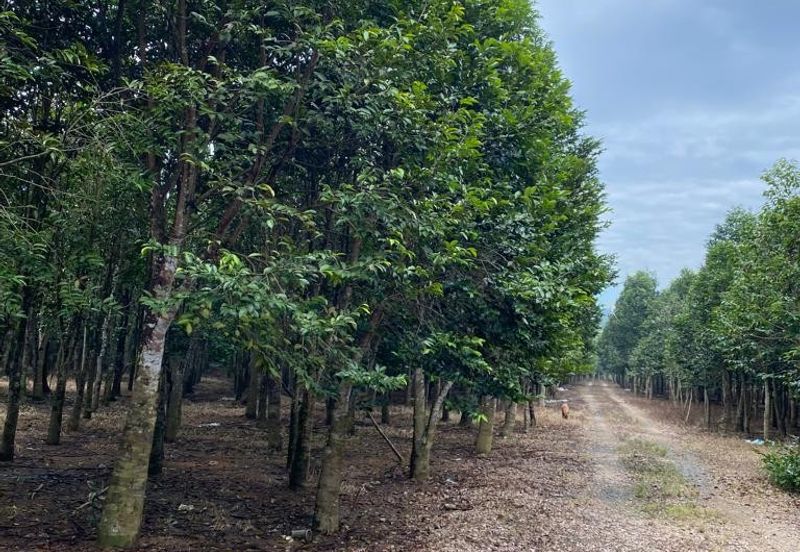 Ulu Tiram @ Johor 10 Acres++ Agricultural Land Zoning Industrial Land For Sale 