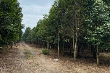 Ulu Tiram @ Johor 10 Acres++ Agricultural Land Zoning Industrial Land For Sale 
