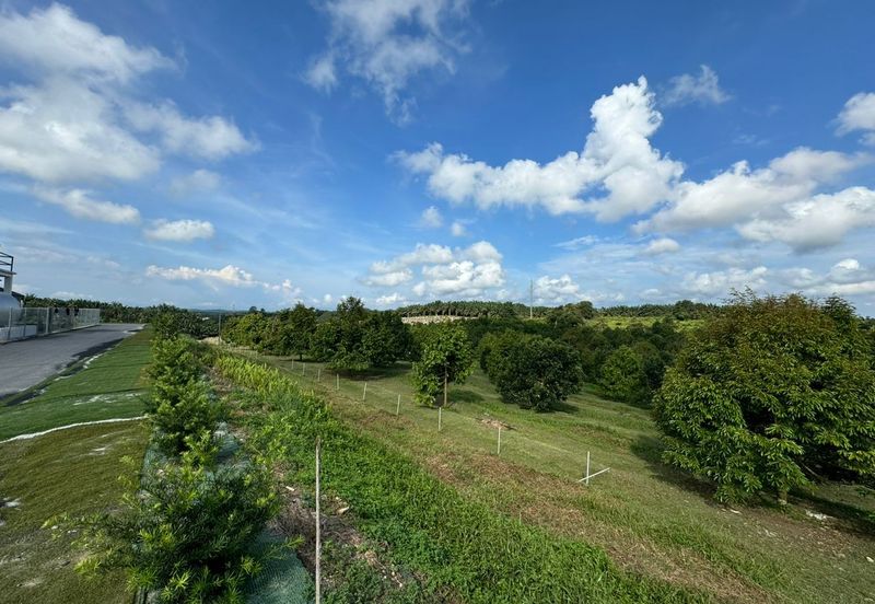 Kulai @ Johor 7.687 Acres Agricultural Land For Sale