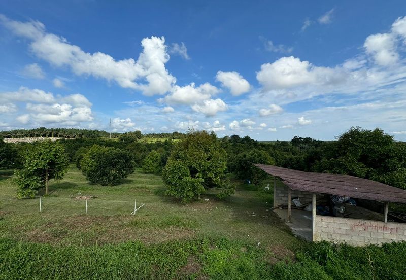 Kulai @ Johor 7.687 Acres Agricultural Land For Sale