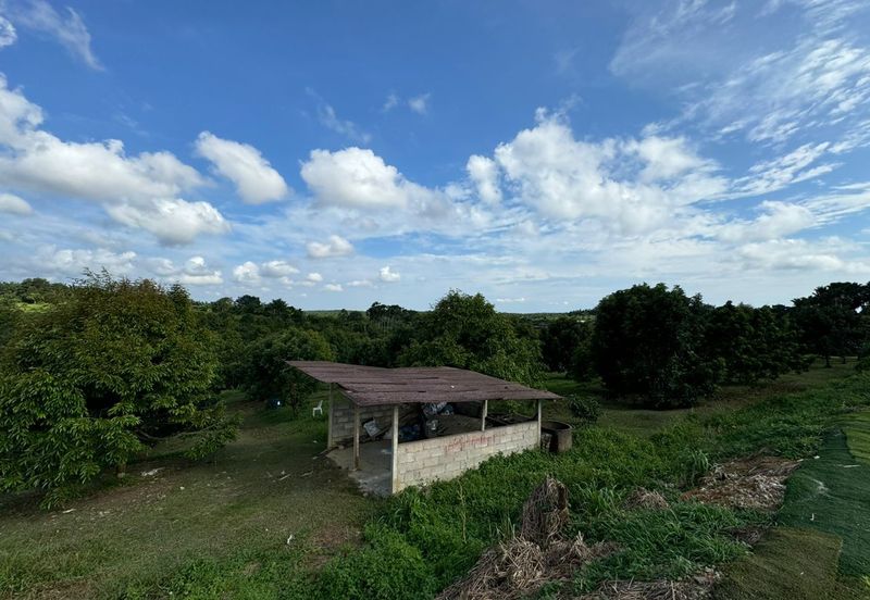 Kulai @ Johor 7.687 Acres Agricultural Land For Sale