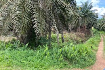 Kota Tinggi @ Johor 6.9 Acres Agricultural Land Zoning Industry Land For Sale