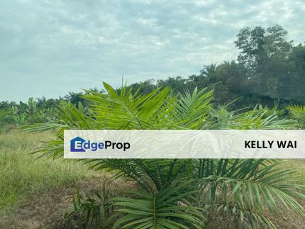 Simpang Renggam @ Johor 30 Acres Agricultural Land Zoning Residential Land For Sale , Johor, Kluang