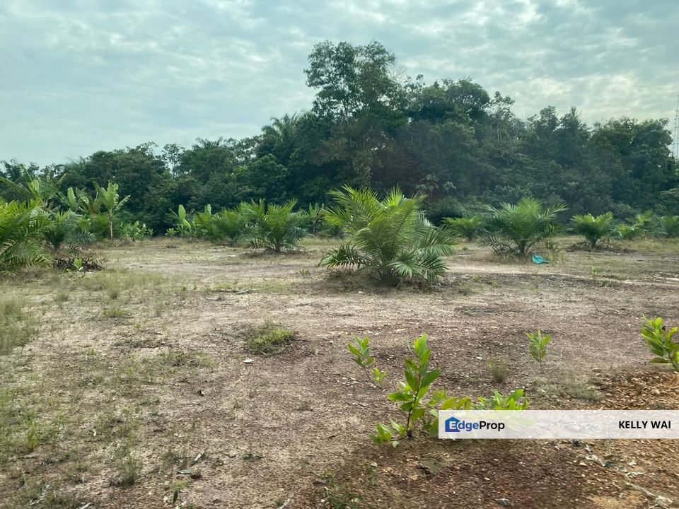 Simpang Renggam @ Johor 30 Acres Agricultural Land Zoning Residential Land For Sale , Johor, Kluang