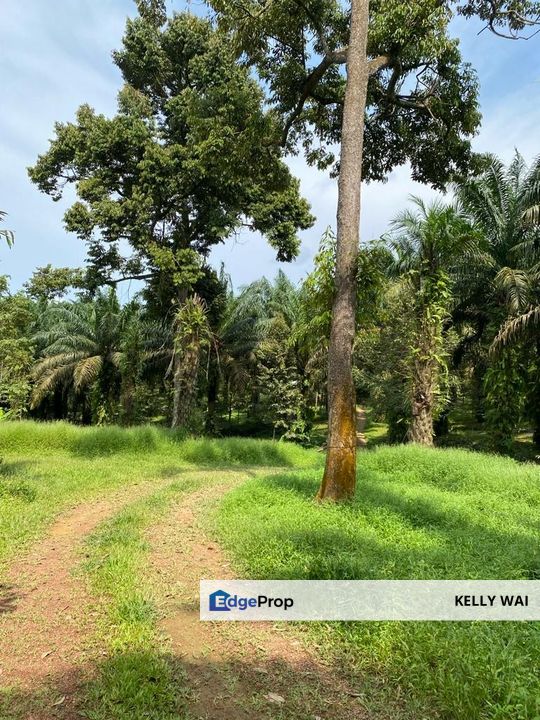 Kulai @ Senai 7 acres Agricultural Land For Sale, Johor, Kulai