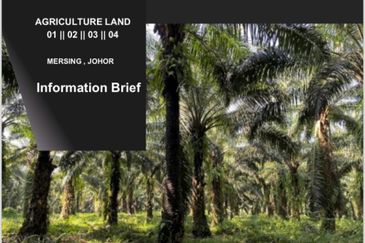 Mersing @ Johor 260 acres Agricultural Land For Sale